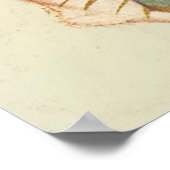 Poster Notre-Dame de Guadalupe (Coin)