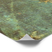 POSTER NOTRE DAME DE GUADALUPE (Coin)