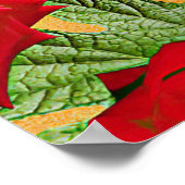 Poster Notre-Dame de Guadalupe Roses rouges (Coin)