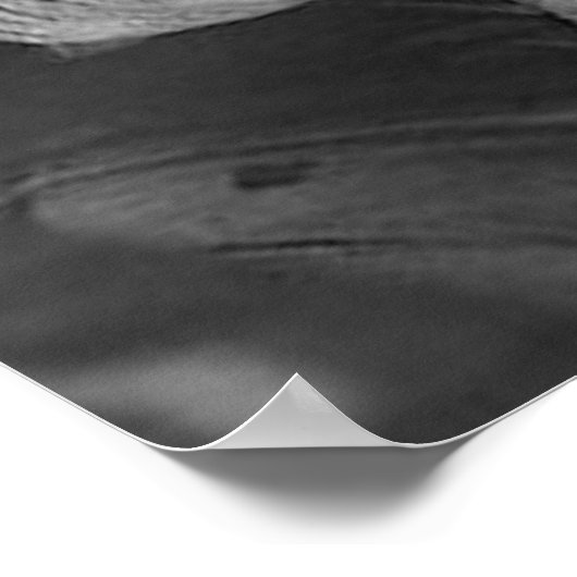 Poster Notre Miss Liberté (Coin)