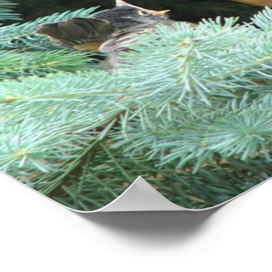 Poster Nourrir bébé (Coin)