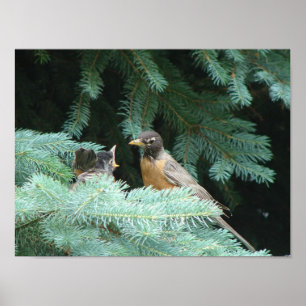 Poster Nourrir bébé