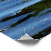 Poster Nourrir des bébés (Coin)