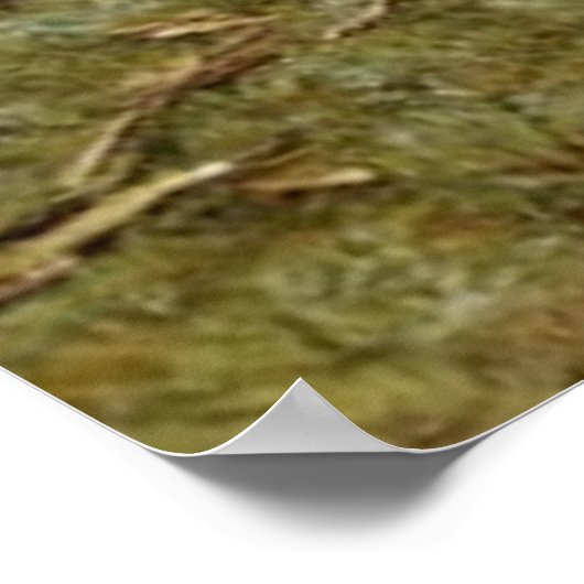 Poster Nourrir les canards (Coin)