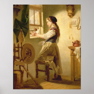 Poster Nourrir les oiseaux en hiver