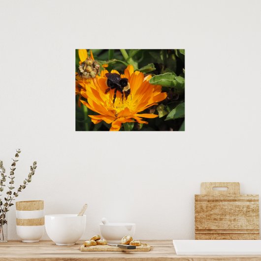 Poster - Nourriture à Calendula (Cuisine)