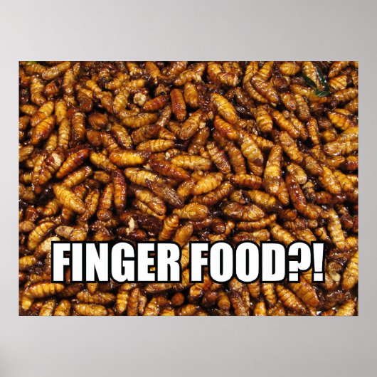 POSTER NOURRITURE À MANGER AVEC LES DOIGTS?! MEME (Devant)