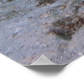 Poster Nourriture de repos Requin (Coin)