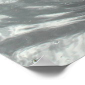 Poster Nourriture Des Cygnes. Lac Roath Park, Cardiff, Pa (Coin)