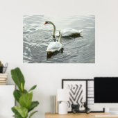 Poster Nourriture Des Cygnes. Lac Roath Park, Cardiff, Pa (Bureau à domicile)