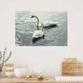 Poster Nourriture Des Cygnes. Lac Roath Park, Cardiff, Pa (Cuisine)