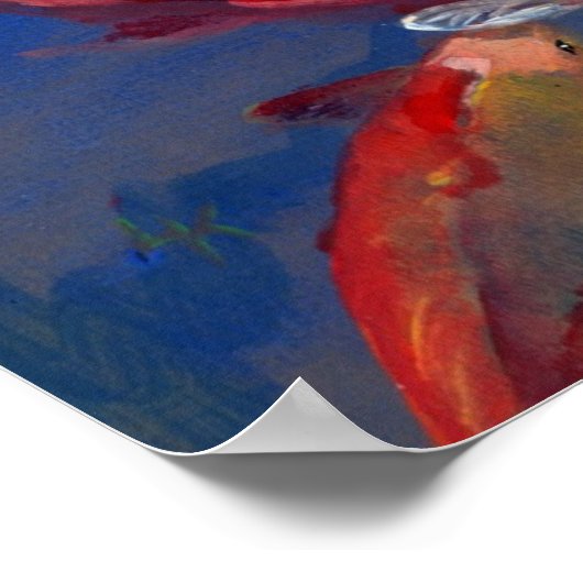 Poster Nourriture du poisson de Koi (Coin)