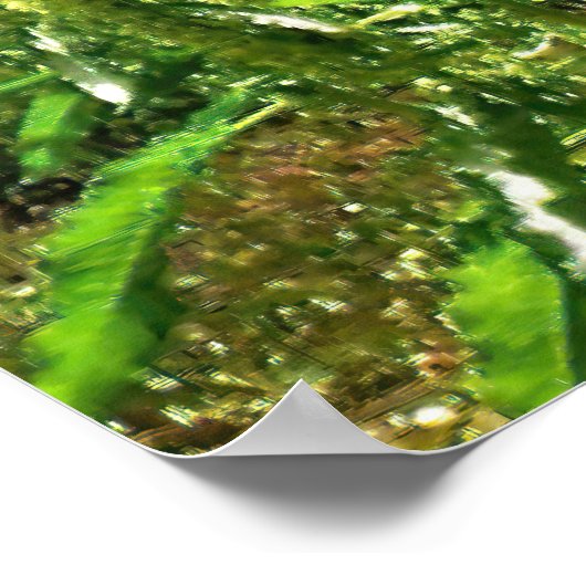 Poster Nourriture Finches (Coin)