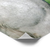 Poster Nourriture pour chevaux (Coin)