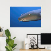 Poster Nourriture requin avec Hitchhiker (Bureau à domicile)