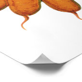 Poster Nourriture vintage, Bund de carottes biologiques L (Coin)