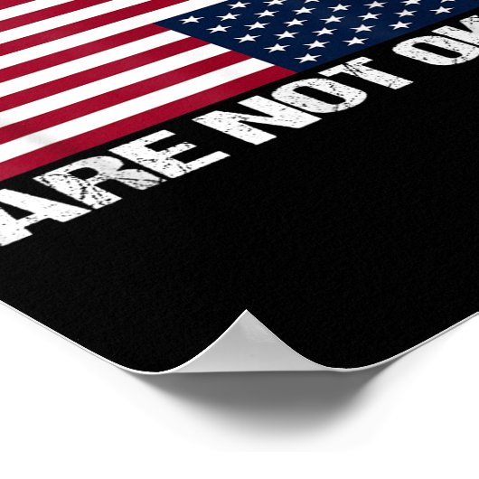 Poster Nous, Le Peuple, Nous N'Avons Pas Le Drapeau Améri (Coin)