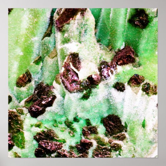 Poster Nous sommes partis pour voir l'Assistant (Devant)