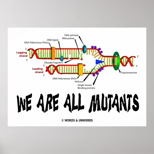 Poster Nous sommes tous des mutants (réplication de l'ADN (Devant)