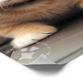 Poster Nous vivons ensemble, Drôle Chat+Chien (Coin)