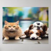 Poster Nous vivons ensemble, Drôle Chat+Chien (Devant)
