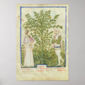 Poster Nouv Acq Lat Celery, from 'Tacuinum Sanitatis' (Devant)