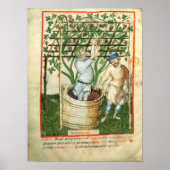 Poster Nouv Acq Lat Gathering and pressing grapes (Devant)