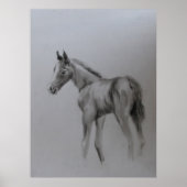 Poster Nouveau bébé (Devant)