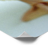 Poster Nouveau canard (Coin)