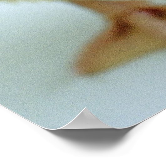 Poster Nouveau canard (Coin)