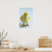 Poster Nouveau canard (Cuisine)