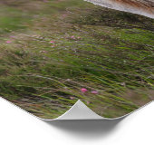 Poster Nouveau Foie De Pony Forestier À L'Écart (Coin)