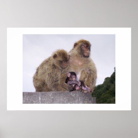 Poster Nouveau né (Devant)