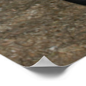 Poster Nouveau poney/cheval (Coin)