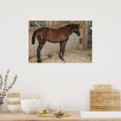 Poster Nouveau poney/cheval (Cuisine)