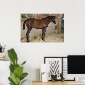 Poster Nouveau poney/cheval (Bureau à domicile)