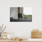 Poster Nouveau poney/cheval (Cuisine)