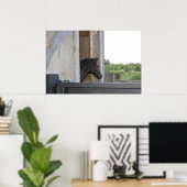 Poster Nouveau poney/cheval (Bureau à domicile)