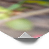 Poster nouveaux bourgeons rouges (Coin)