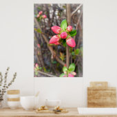 Poster nouveaux bourgeons rouges (Cuisine)