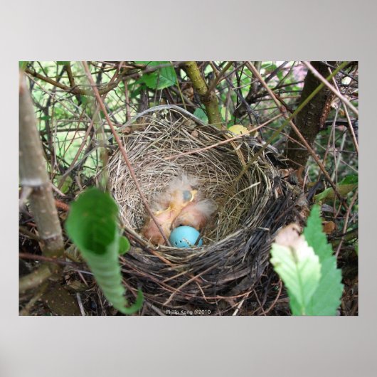 Poster Nouveaux débuts (Devant)