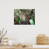 Poster Nouveaux débuts (Cuisine)