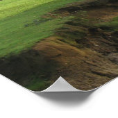 Poster Nouvelle forêt (Coin)