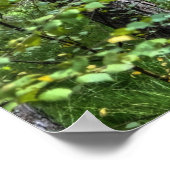 Poster Nouvelle Forêt Forêt Arbres Nature Scène, Angleter (Coin)