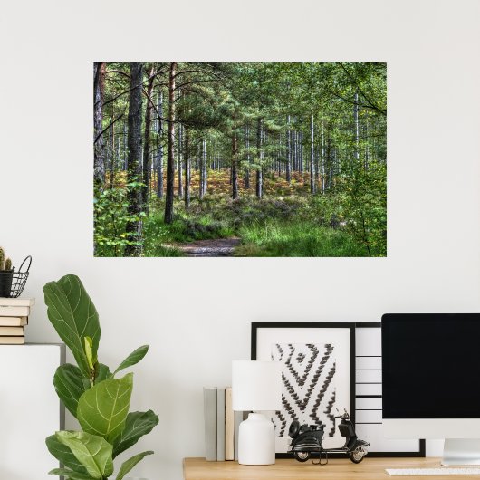 Poster Nouvelle Forêt Forêt Arbres Nature Scène, Angleter (Bureau à domicile)