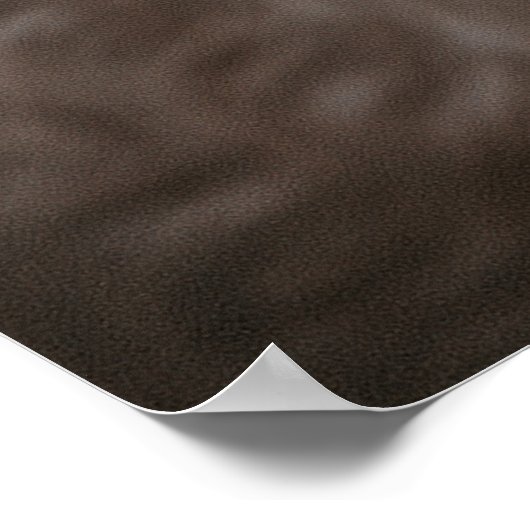 POSTER NOUVELLE FORÊT PONY (Coin)