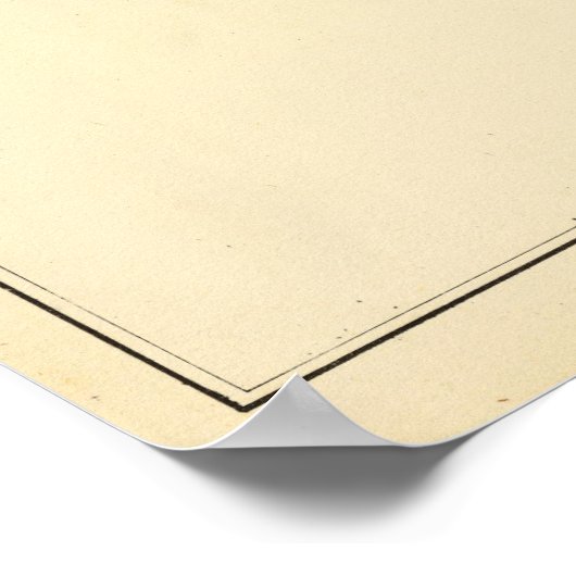 Poster Nouvelle Haven (Coin)