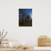 Poster Nouvelle-Orléans Bayou (Cuisine)