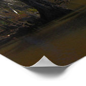Poster Nouvelle-Orléans Bayou (Coin)