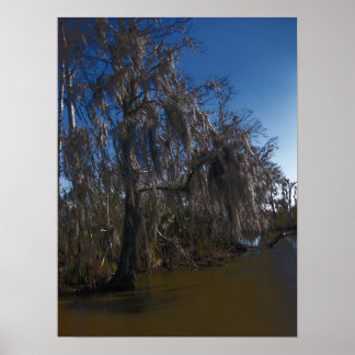 Poster Nouvelle-Orléans Bayou